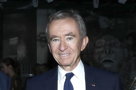 louis vuitton owner images|louis vuitton arnault.